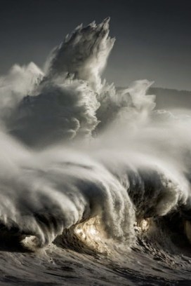 11295600_10200579128396534_5778554954942758600_n