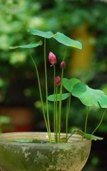 hqjp2dbb0fc72ad51d57220e922675038c1e_qusg[1]