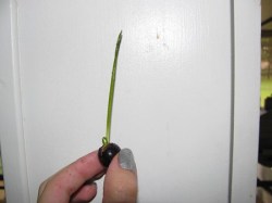 ukrsimg_9999_guhx[1]