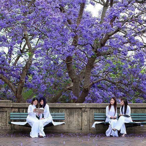 12512663_1601470093509900_3454187994702252786_n