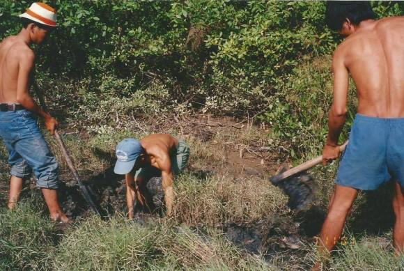 12952837_976970742388802_1289154738_o