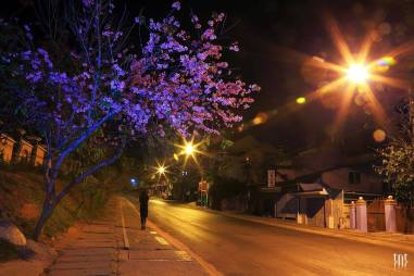 13692899_568437670025931_5155461643181540909_o