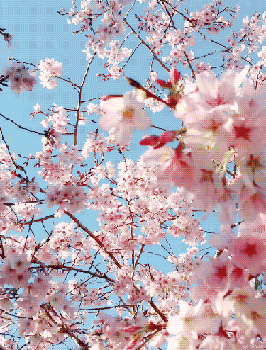 d3bce5f4ece39e9af791a538467f0b80