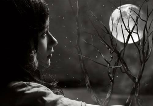 14054025_1761296624083581_3528794075937966427_n