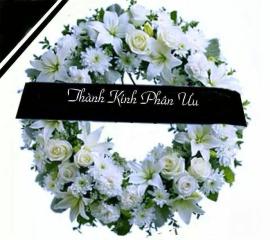 13327492_1701416316793180_2715883732375860815_n