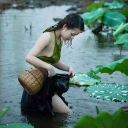 12507665_189154224772130_4831057790038580787_n