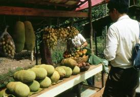 14138042_1570349679939295_7219982289373720705_o