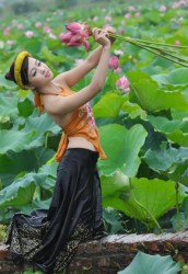 a8b9cd7e9728af900e21256736e91df4