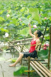 d96fbcfde86704255f7bbb099c4493ae