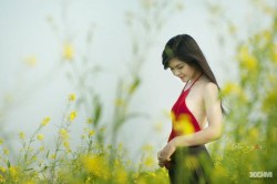 dd084030e875ee3d6d015f2202670e3c