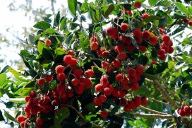 f05ef887394ef207fc6d3b29acb50160635341029247194785