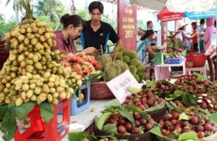 lehoitraicaylaithieu