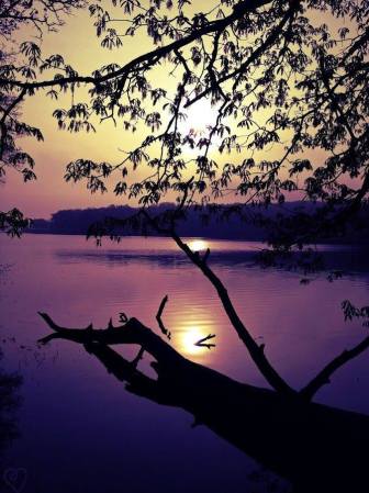 12366348_953186284755530_8949409441220048921_n