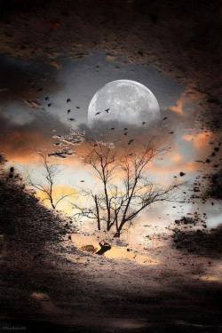 15781427_1063386740438913_7277162161249265393_n