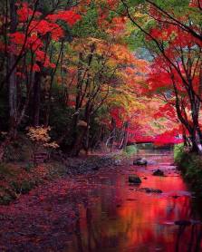 perfection-in-the-shizuoka-prefecture-japan