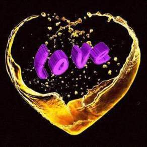 15822728_1719147081667320_5693649622273225859_n