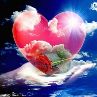 15822978_1719147141667314_6006944527887815852_n