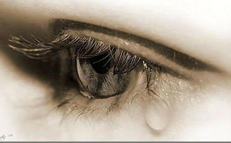 15895294_174141999732211_6169372513209610324_n