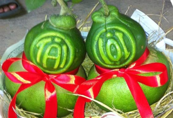 15940644_10209582219966803_9222972197109957879_n