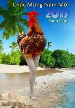 16105483_1658951601069809_65335942422839342_n