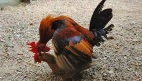 16298816_1897071820522822_1549337843465391779_n