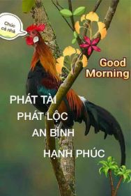 16299242_1732487823666579_147321645416135485_n