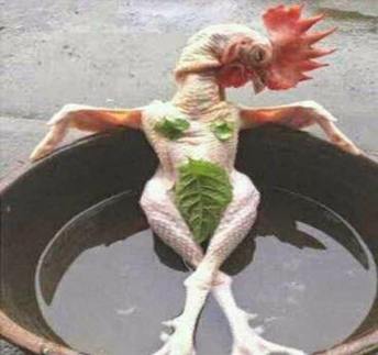 16299461_581354978741881_7802295878267116263_n