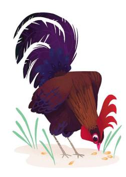 17796853_670617699793843_6978250628742927146_n