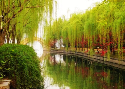 19300534422882135978831294204