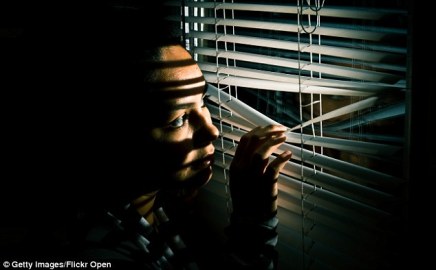 26d612bd00000578-3005019-image-a-2_1426896046730