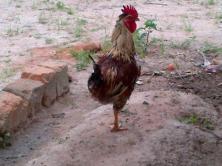 cb10mefusaejqw9-jpg-large