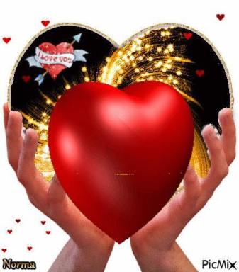 16143049_878475838962064_3545221746583658328_n