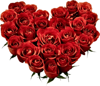 heart-of-roses-psd49914