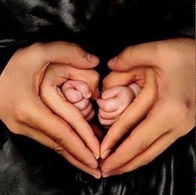 16728993_242154382903986_591552688014995116_n