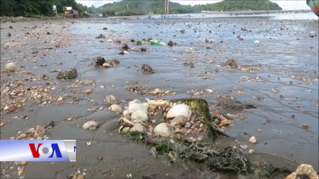 b0263c62-8d44-4c0e-9276-00073d7b63f7