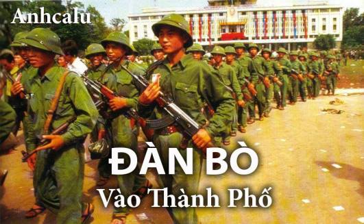 12705397_226511704356646_7953404058218952718_n