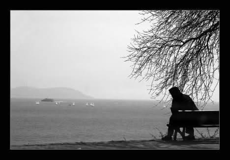 14141759_1398167930212405_7457071176056612782_n