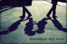 19875629_1773135532715641_509920404546942205_n