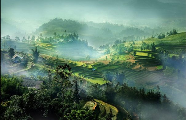 19667846_10211096619065834_8162798604492350186_o