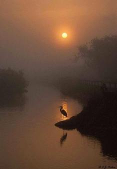 25353760_499823453723638_2325446842590002347_n