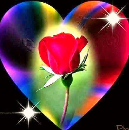 27750188_537408153319045_2916729838749049134_n