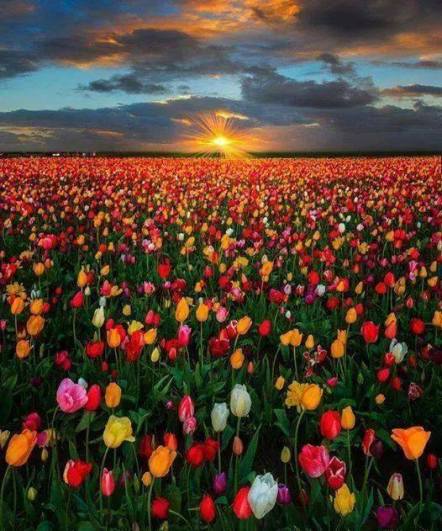 10617277_1498659210384481_98856473_n