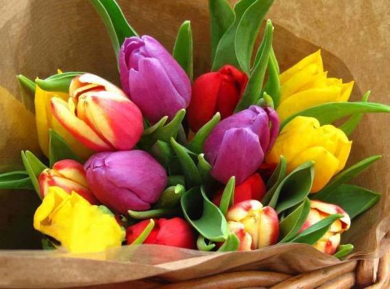 12631429_775322272571742_4311242287385462367_n