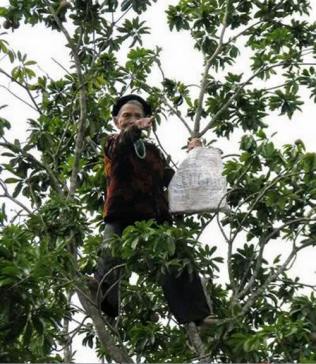 20770465_327253461059793_5850208339134893841_n