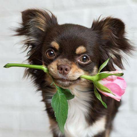 29101338_600044230348743_6377197450037297152_n