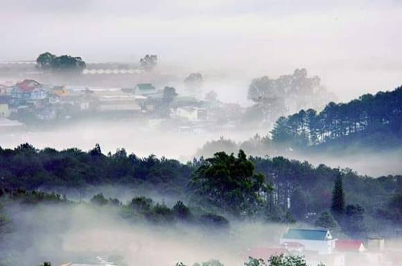 48417346_904145039791709_4182736935812333568_n