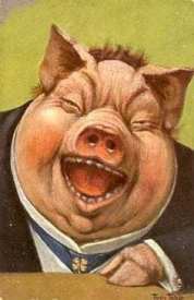 51443358_249161232665658_153829343242485760_n