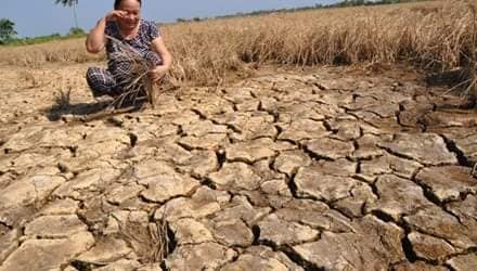 84687031_2509910812605384_6387976576704708608_n