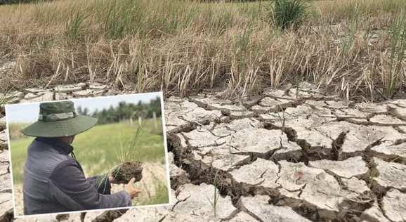 87331808_2509910722605393_5895312792419827712_n