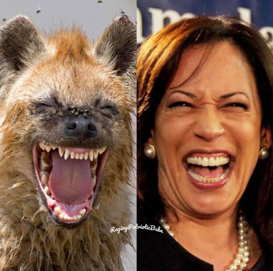 152420123_4062086187169189_3469246173126912823_n